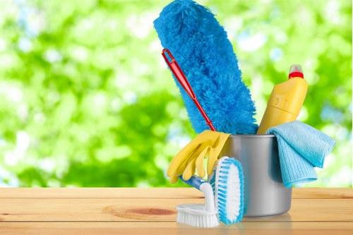 Professional cleaners providing home cleaning services in W1W