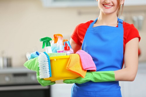 Local home cleaning support for apartments and period flats in W1W