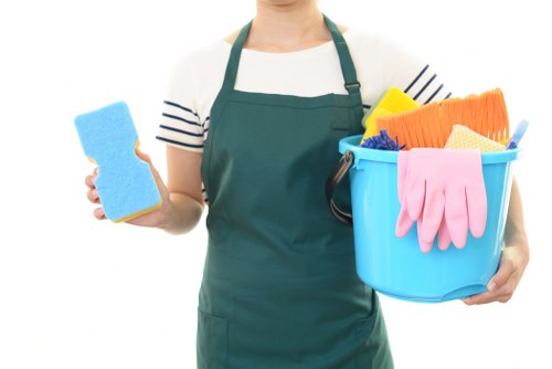 Cleaner in W1W providing domestic cleaning in a central London flat
