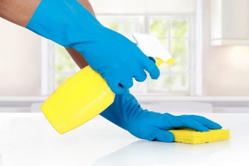 Carpet cleaning assessment and stain treatment in a W1W property