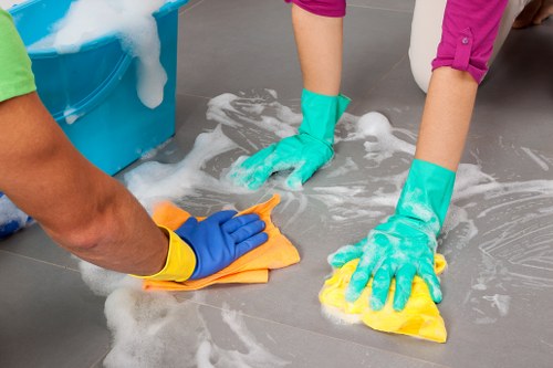 Professional carpet cleaning for a W1W home interior