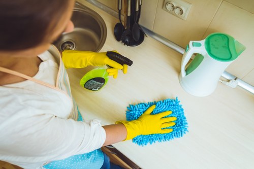 Oven cleaning for apartments, rentals, and businesses near W1W