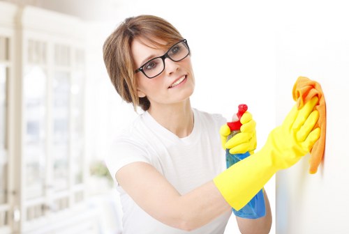 Final safety review for a professional carpet cleaning policy
