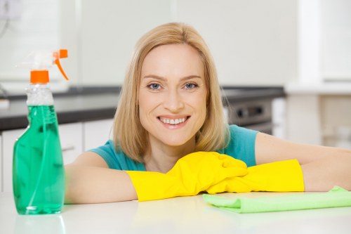 Professional one-off kitchen cleaning in W1W