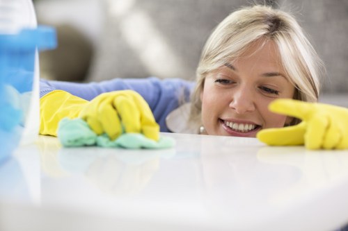 Deep cleaning support for homes and businesses in W1W