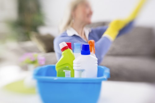 Technician completing a carpet cleaning risk assessment in a property