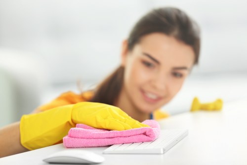 Residential window cleaning for apartments and period properties in W1W