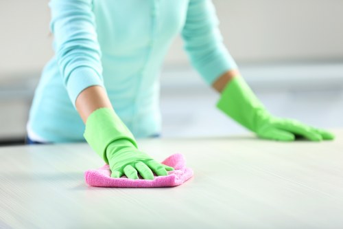 Preparation checklist and quote-ready house cleaning service for W1W customers