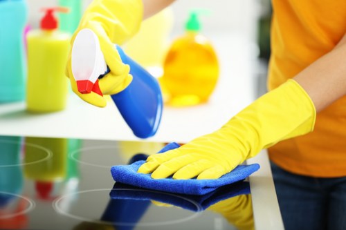 Commercial rug cleaning for an office or workspace in W1W