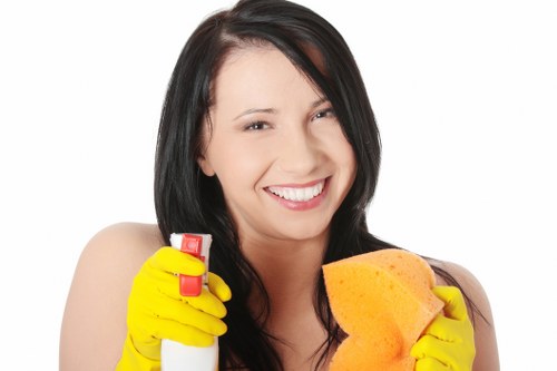 Thorough floor and surface cleaning in W1W
