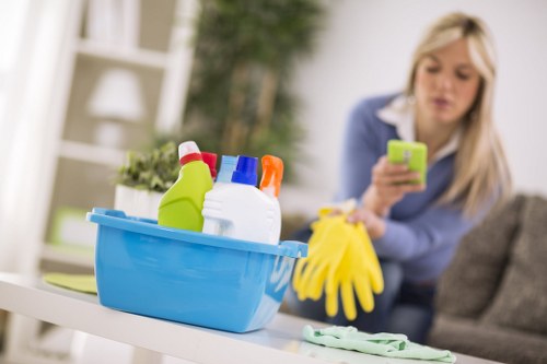 Domestic cleaning tasks in a central London apartment kitchen and living area