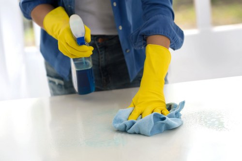 Professional glass cleaning for W1W shopfronts and offices