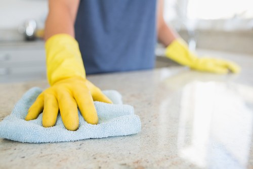 Thorough cleaning of oven racks, glass and interior surfaces in W1W