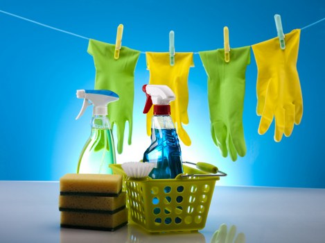 Local carpet cleaner treating stains in a W1W flat with care