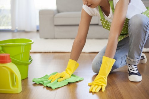 Tailored domestic cleaning for busy households in W1W