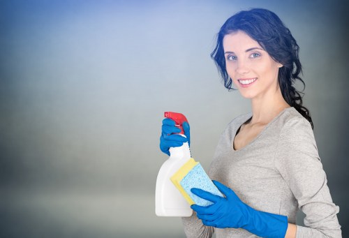 Sofa upholstery cleaning equipment used in a W1W property